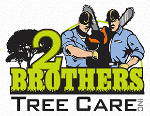 two-brothers-tree-care